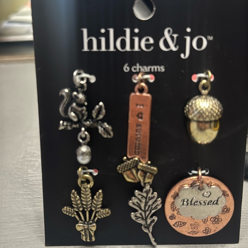 Hildie & Jo Silver Copper Fall Charm Collection NWT